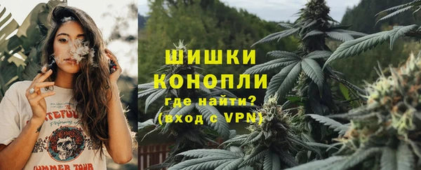 мдпв Киреевск