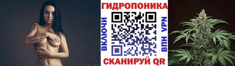 Конопля VHQ  Купить где  Назарово 